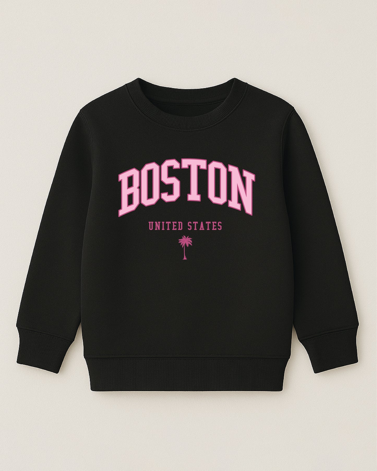 Boston United States Sweatshirt